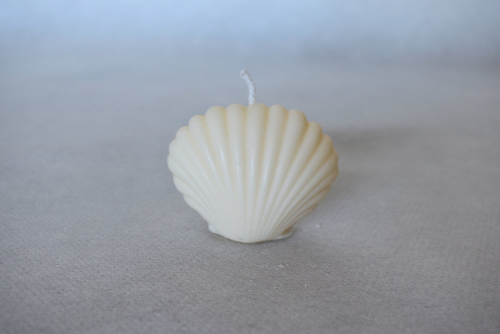 Rapswachskerze_handgegossen_Mediterrane_Muschel_mini_weiss_Frontansicht