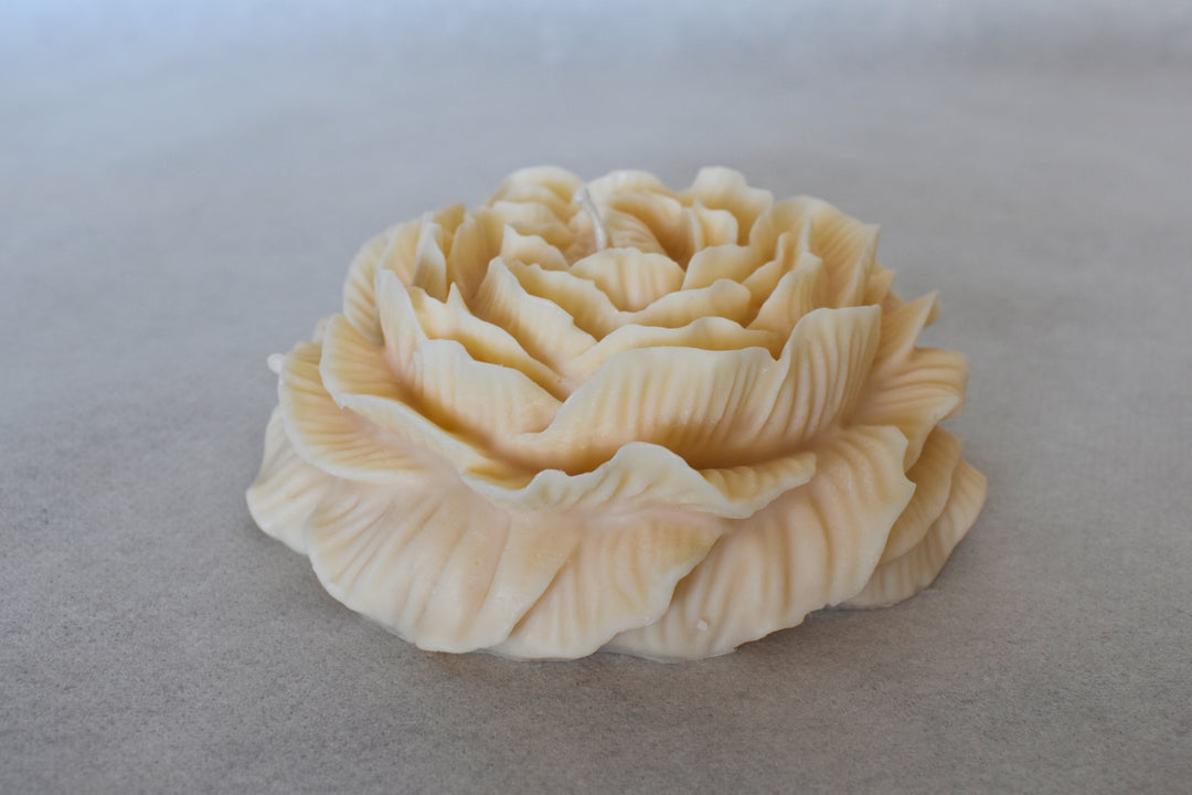 Rapswachskerze handgegossen Rose gross weiss
