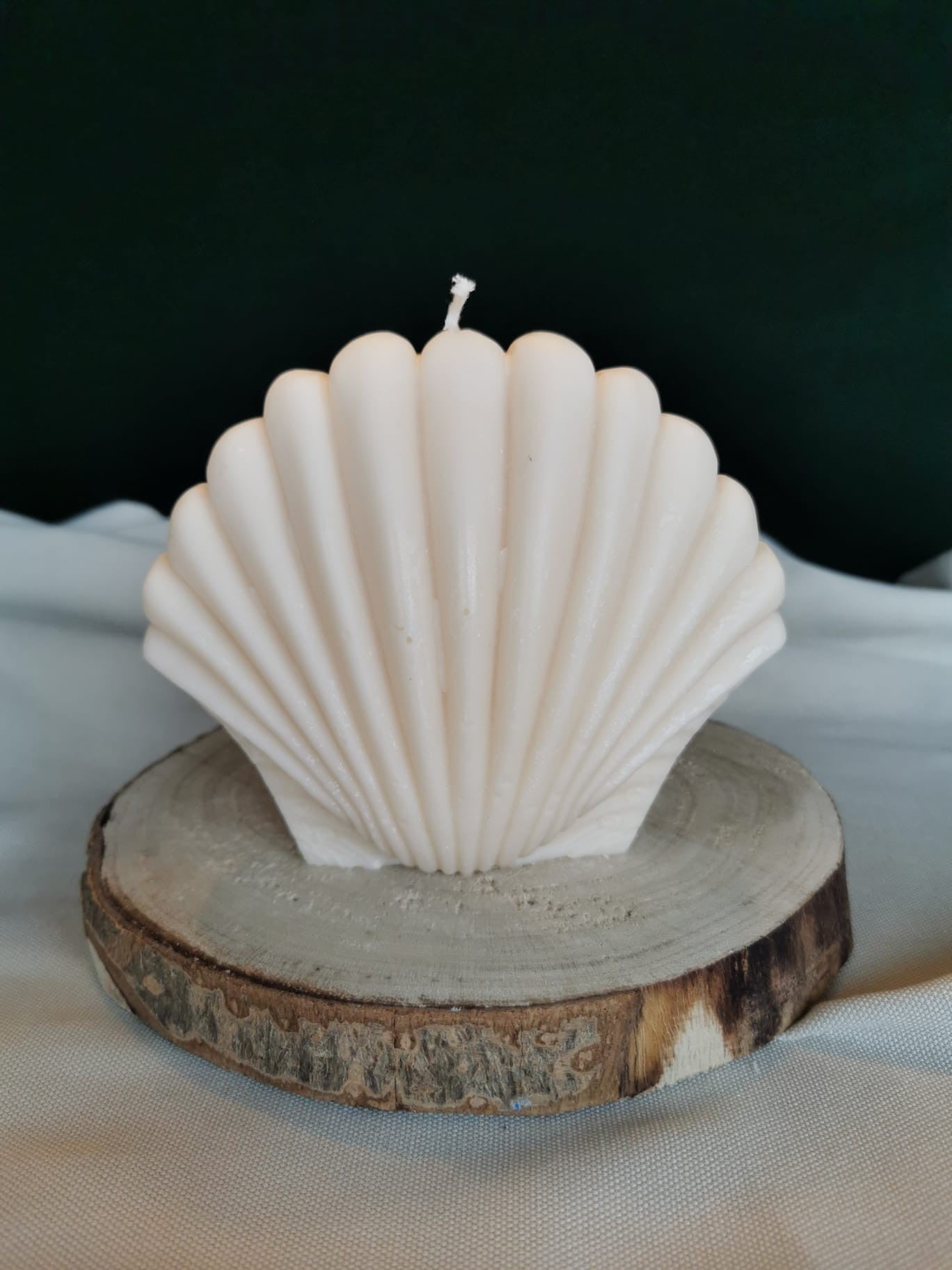 „Breite Muschelkerze aus Rapswachs in Cremeweiß – handgemachte dekorative Kerze im Muschel-Design auf Holzplatte“