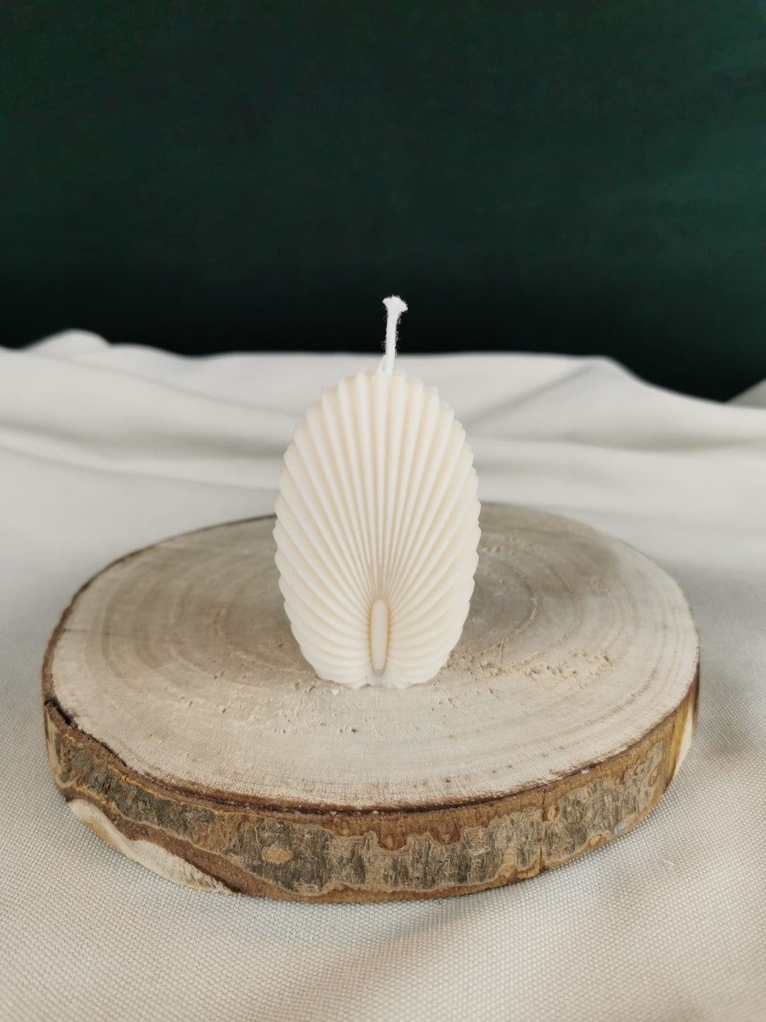 „Handgegossene Muschelkerze aus natürlichem Rapswachs in zarter Cremefarbe, dekorativ auf einer Holzscheibe präsentiert.“