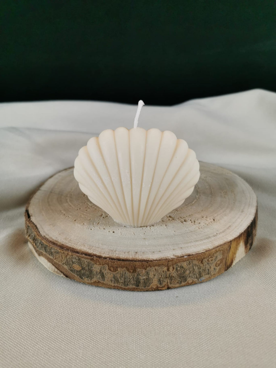 „Handgegossene Muschelkerze aus Rapswachs in Cremeweiß auf Holzunterlage.“