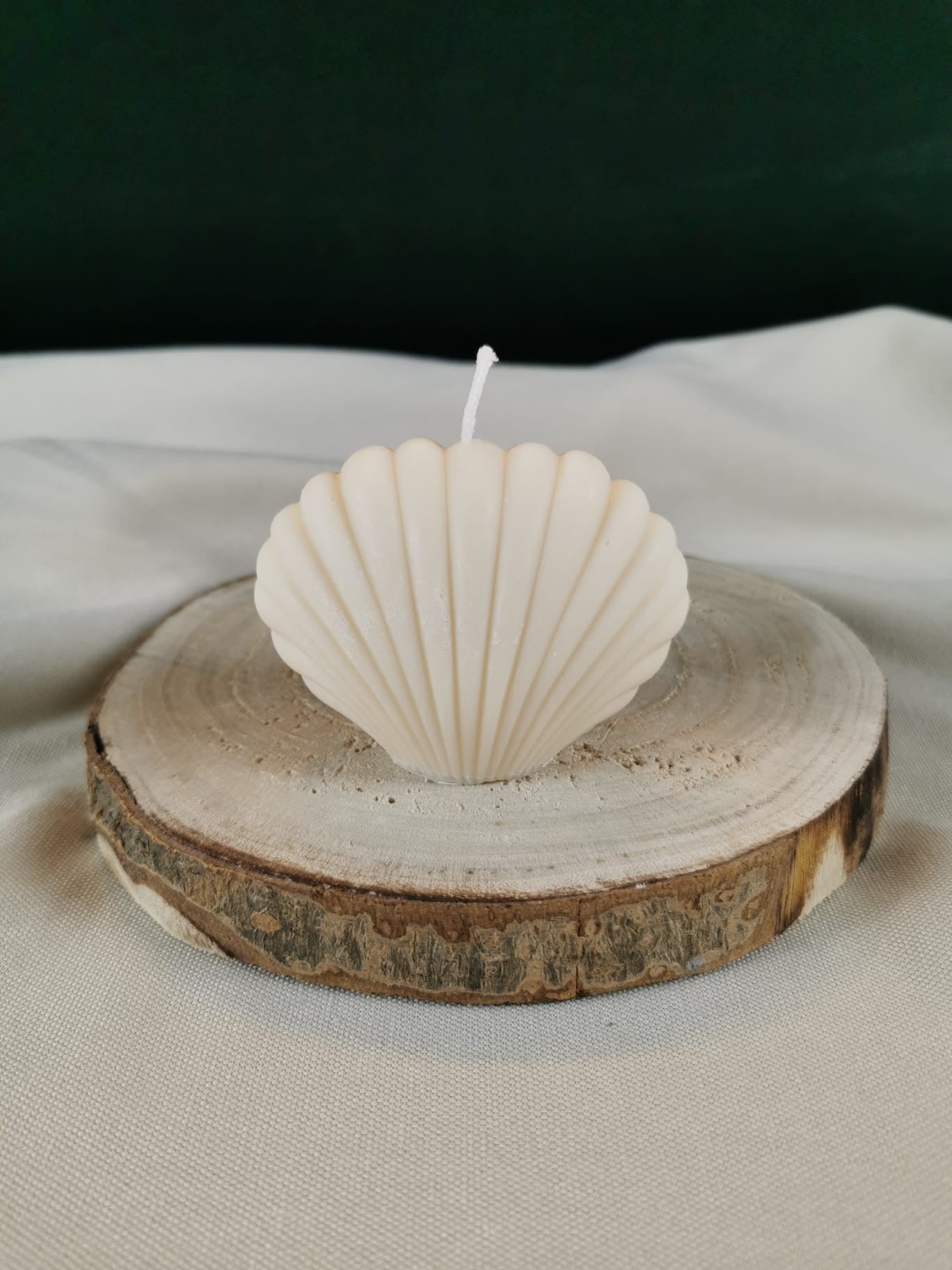 „Handgegossene Muschelkerze aus Rapswachs in Cremeweiß auf Holzunterlage.“