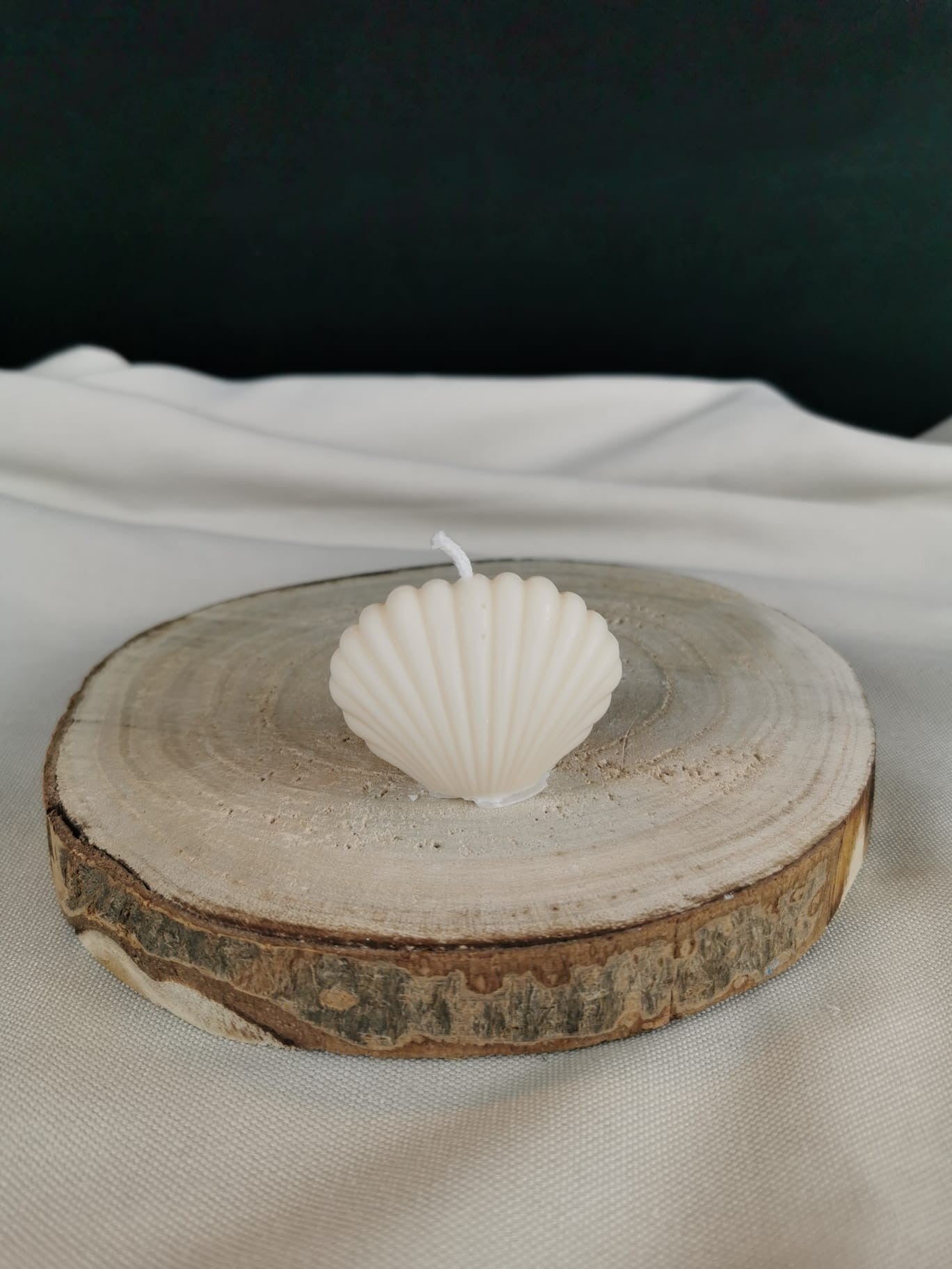 „Handgegossene Rapswachskerze in Form einer eleganten Muschel mit filigranen Details auf Steinplatte.“