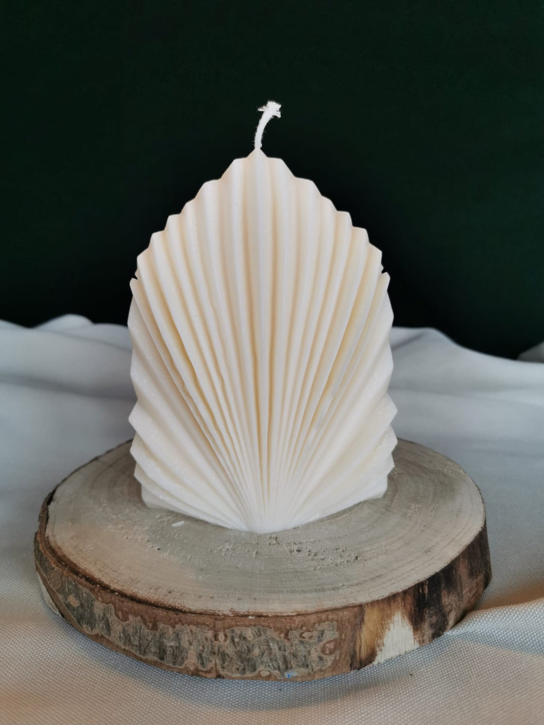 „Handgegossene Rapswachskerze in Muschelform in Creme auf Holzunterlage – nachhaltige Deko Kerze von Mara’s Kreativkischdle“