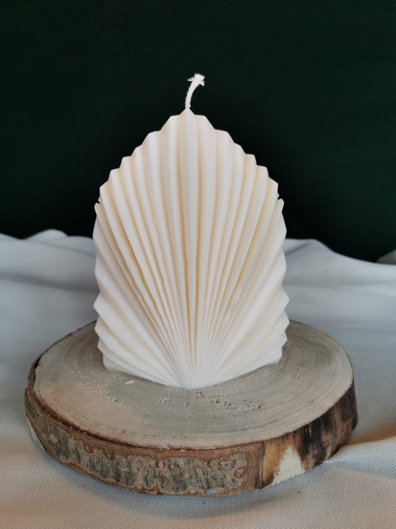 „Handgegossene Rapswachskerze in Muschelform in Creme auf Holzunterlage – nachhaltige Deko Kerze von Mara’s Kreativkischdle“