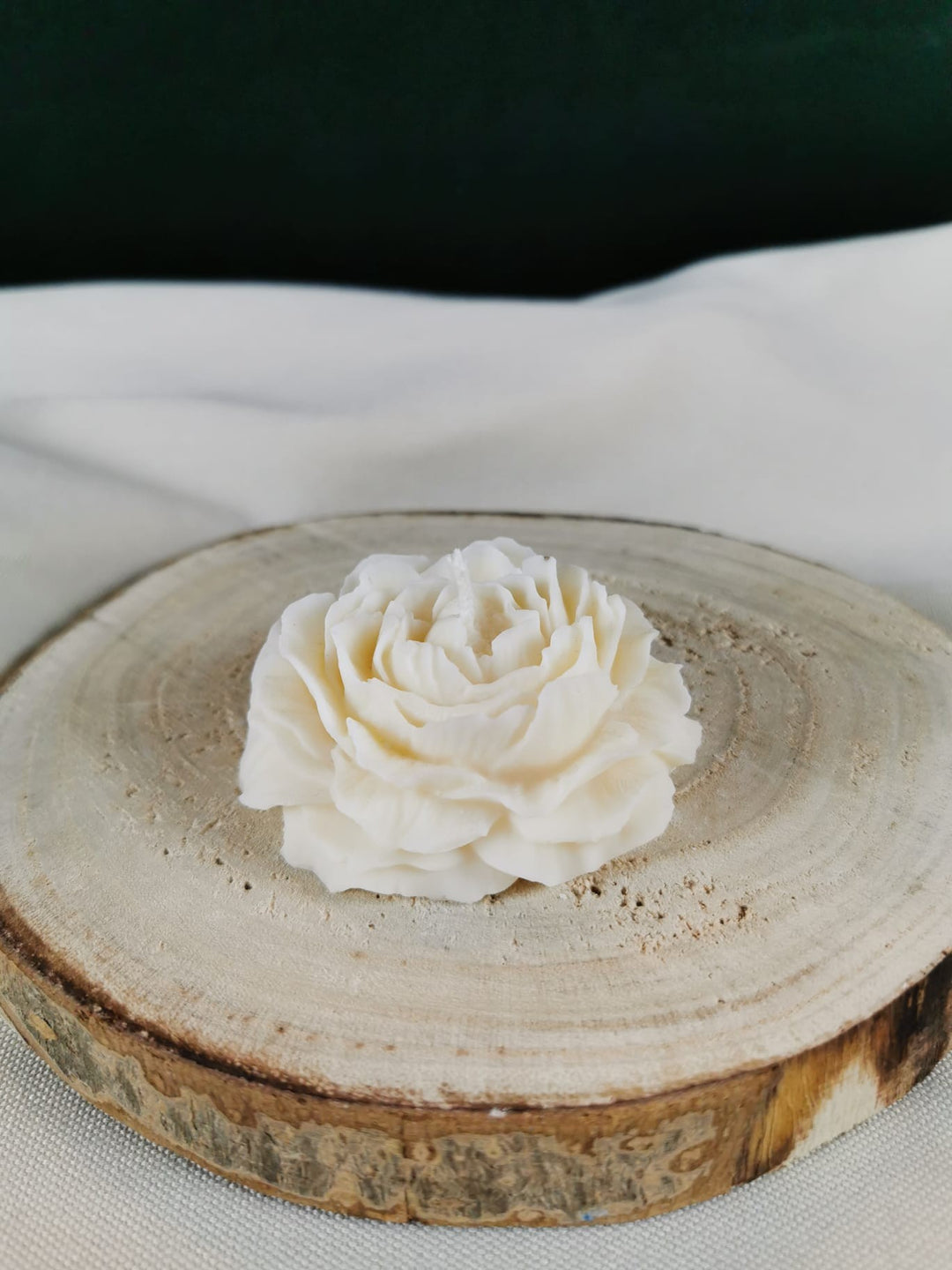 Handgegossene Rosenkerze aus naturbelassenem Rapswachs auf Holzunterlage – detailreiche Blütenform in Cremeweiß